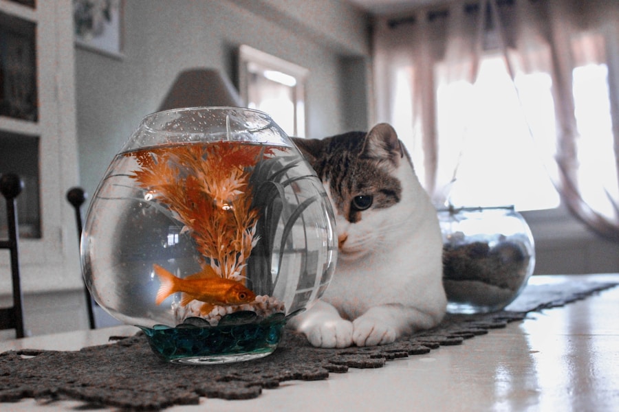 Unlocking the Meaning of Dreaming About Fish